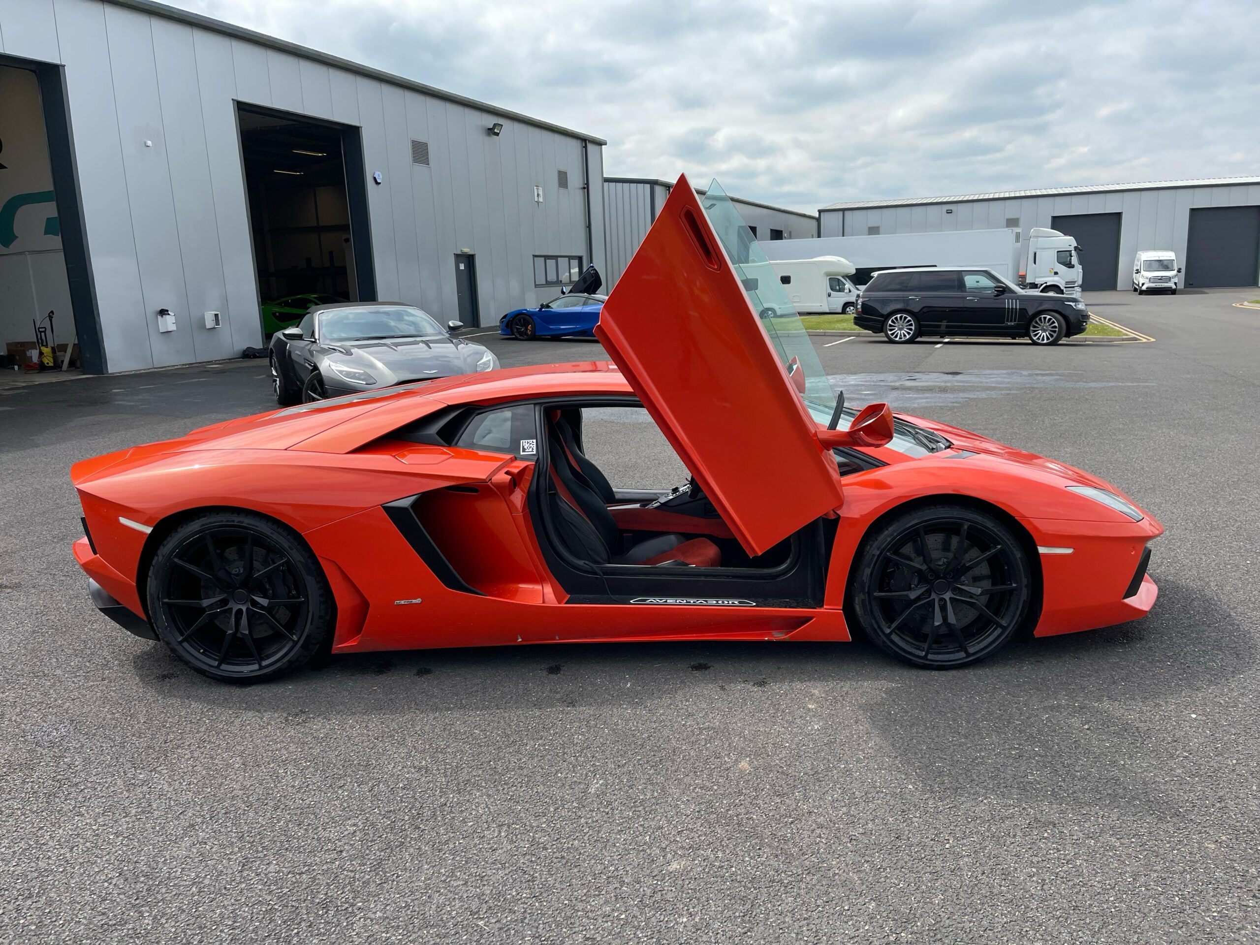 WhatsApp Image 2025-04-26 at 03.54.49_b77142a9